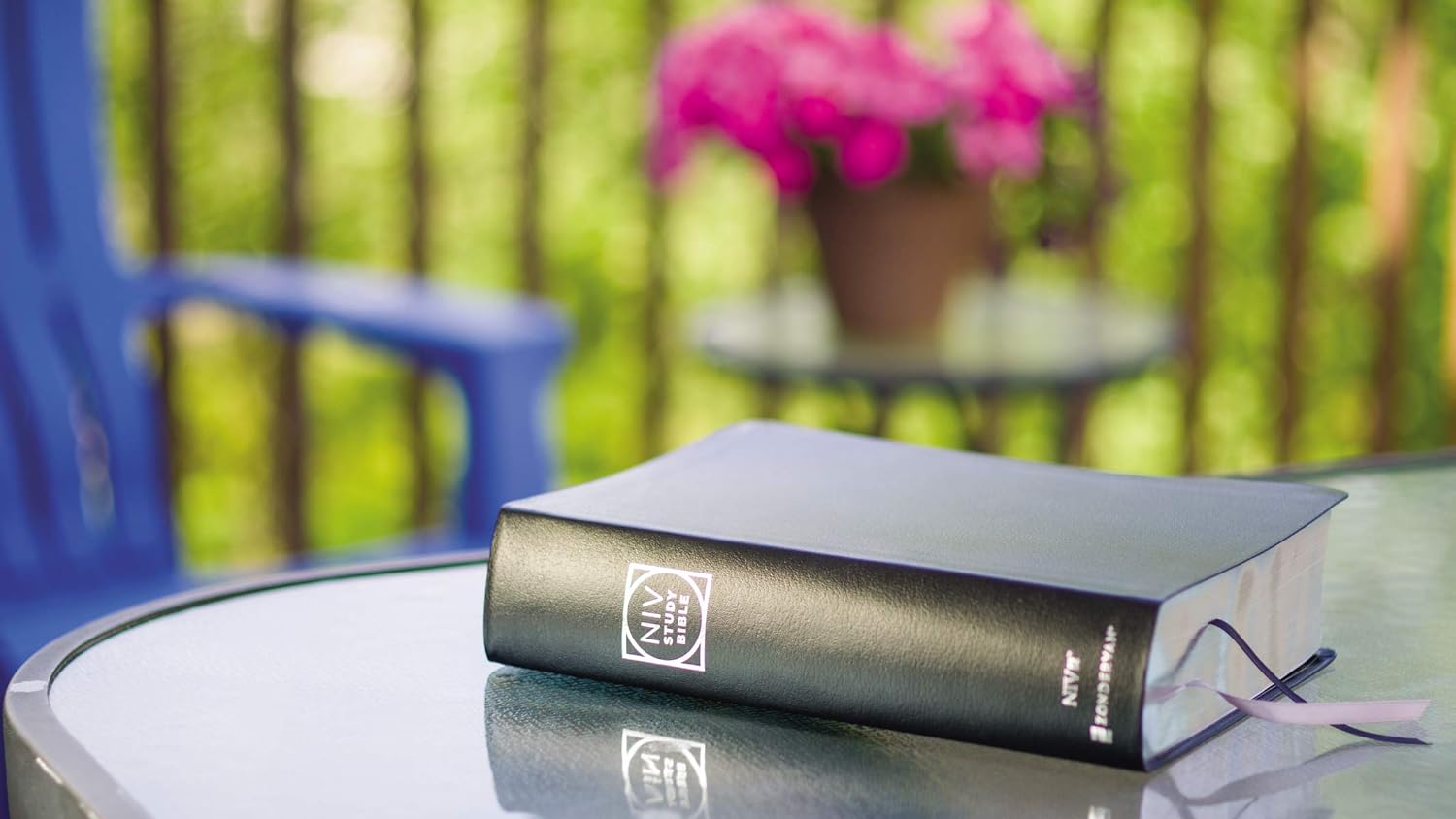 Holy Bible: New International Version, Leathersoft, Comfort Print, Reference (NIV Study Bible, Fully Revised Edition) Imitation Leather – Import