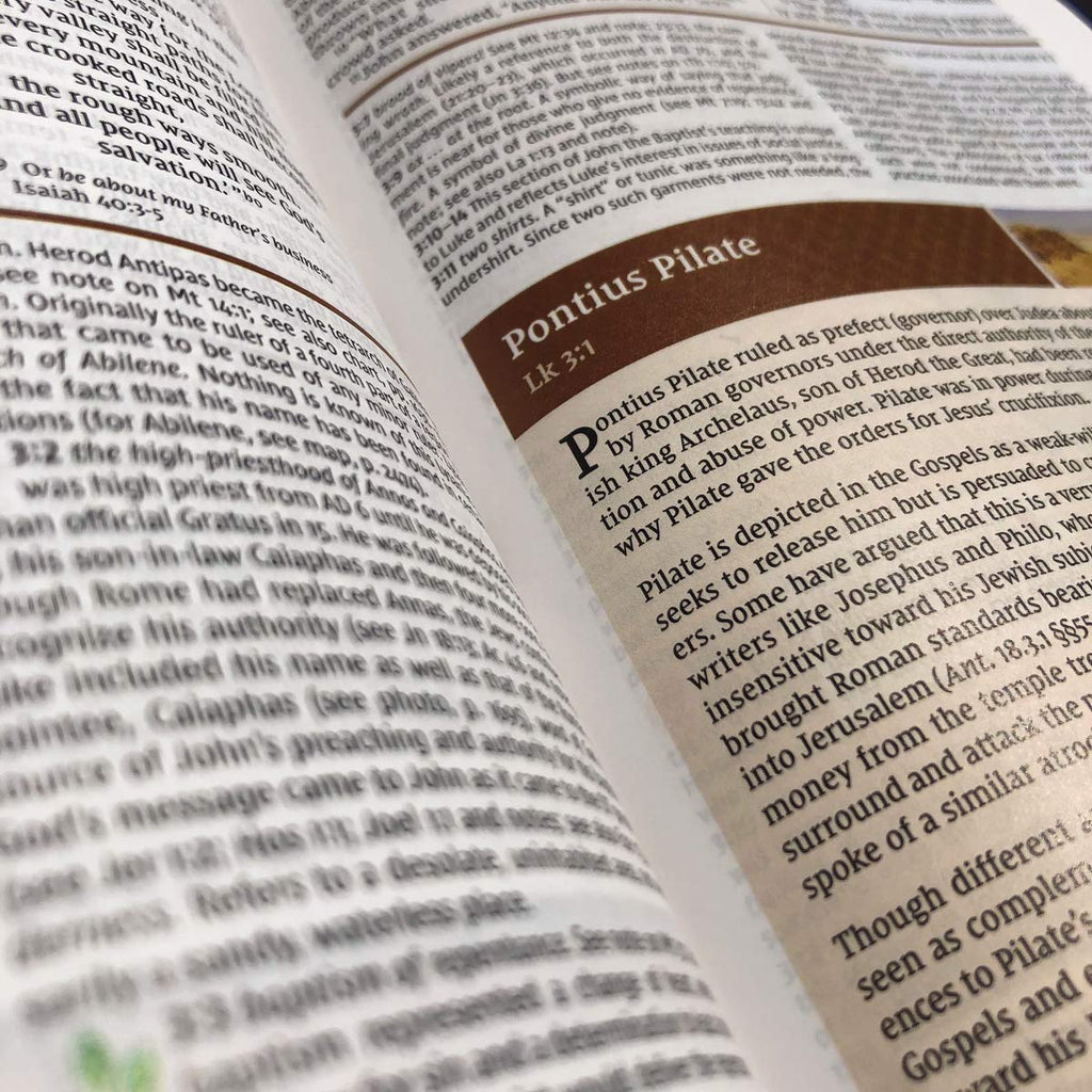 Holy Bible: New International Version, Leathersoft, Comfort Print, Reference (NIV Study Bible, Fully Revised Edition) Imitation Leather – Import