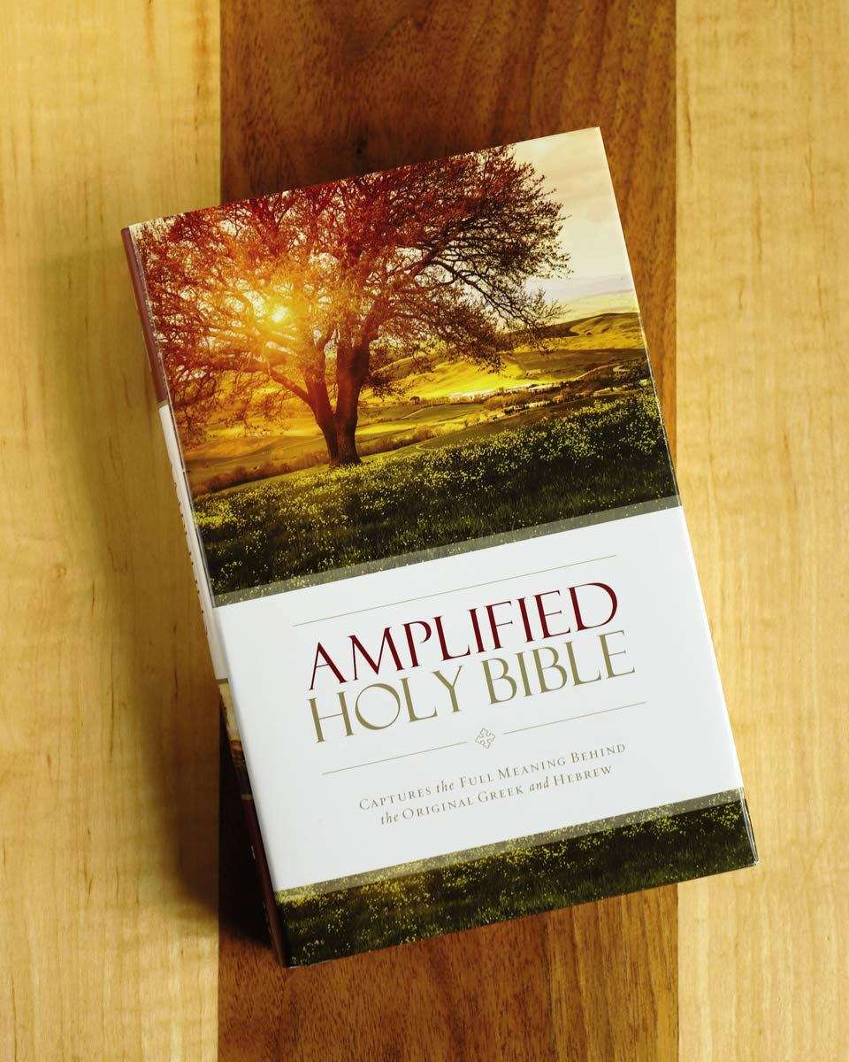 Amplified Bible, Demi Size, Hardcover Edition (ISBN: 9780310443872)