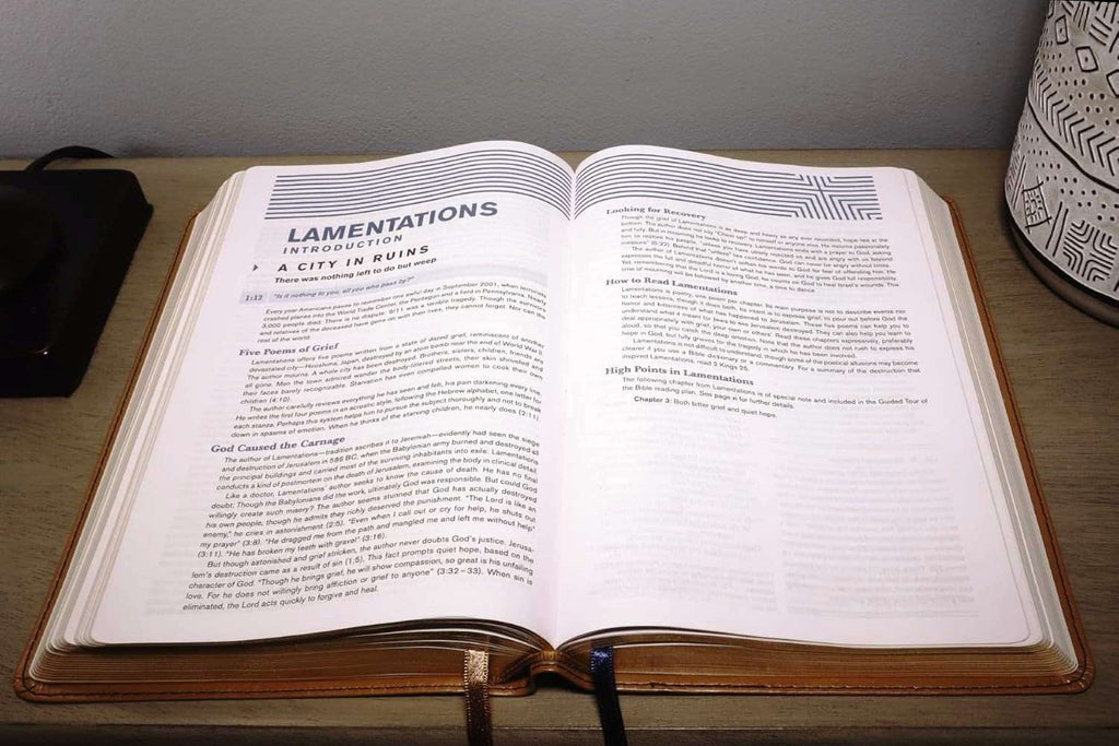 NIV Student Bible, Personal Size, Tan LeatherSoft Edition (ISBN: 9780310461715)