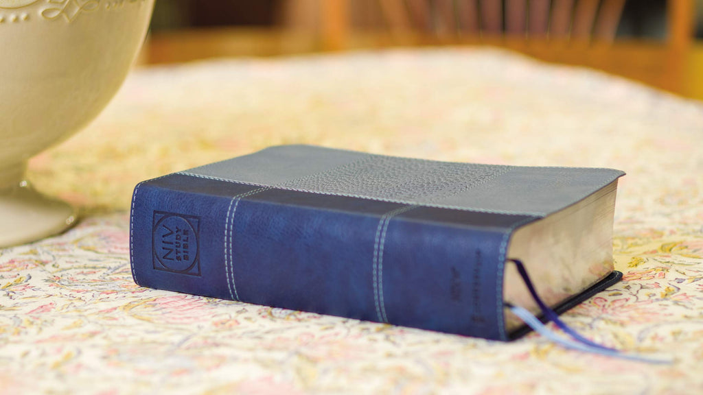 NIV Study Bible in Navy Blue Leather, Personal Size, Red Letter Edition