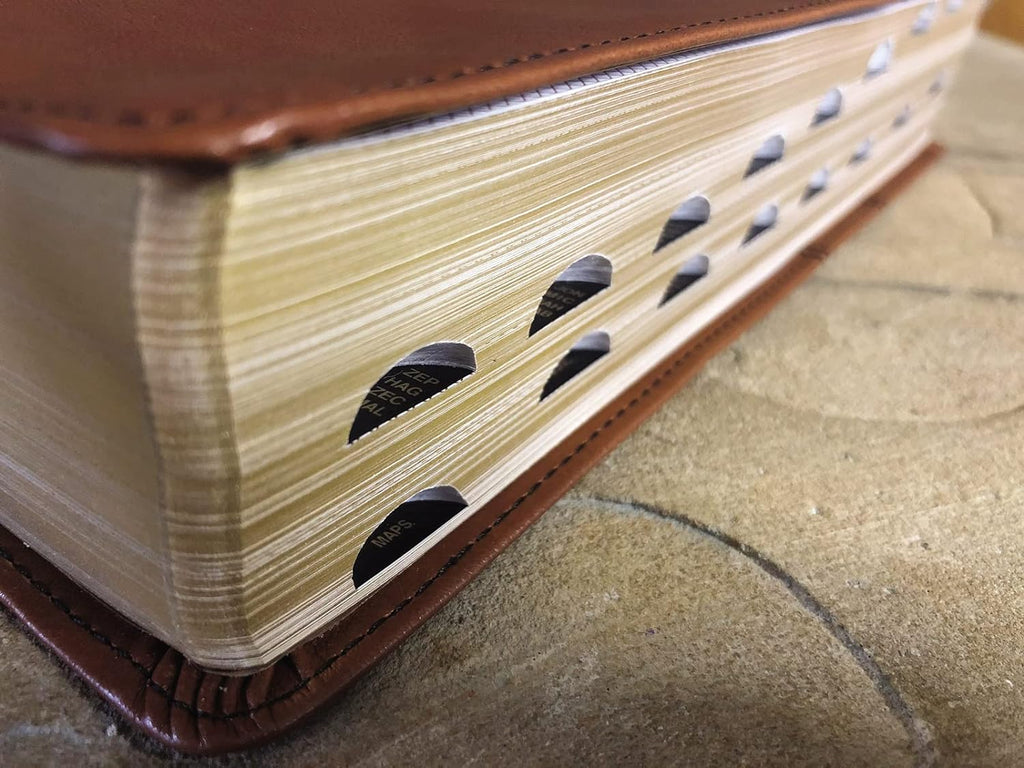 NIV study Bible with indexed leather binding for study and research
