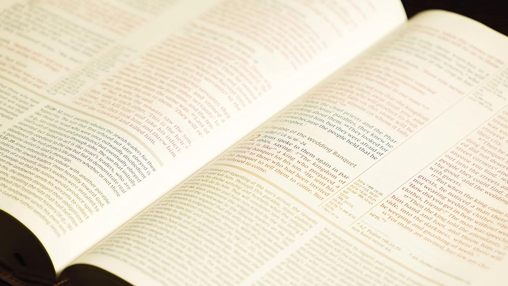 Indexed leather cover study Bible in NIV translation
