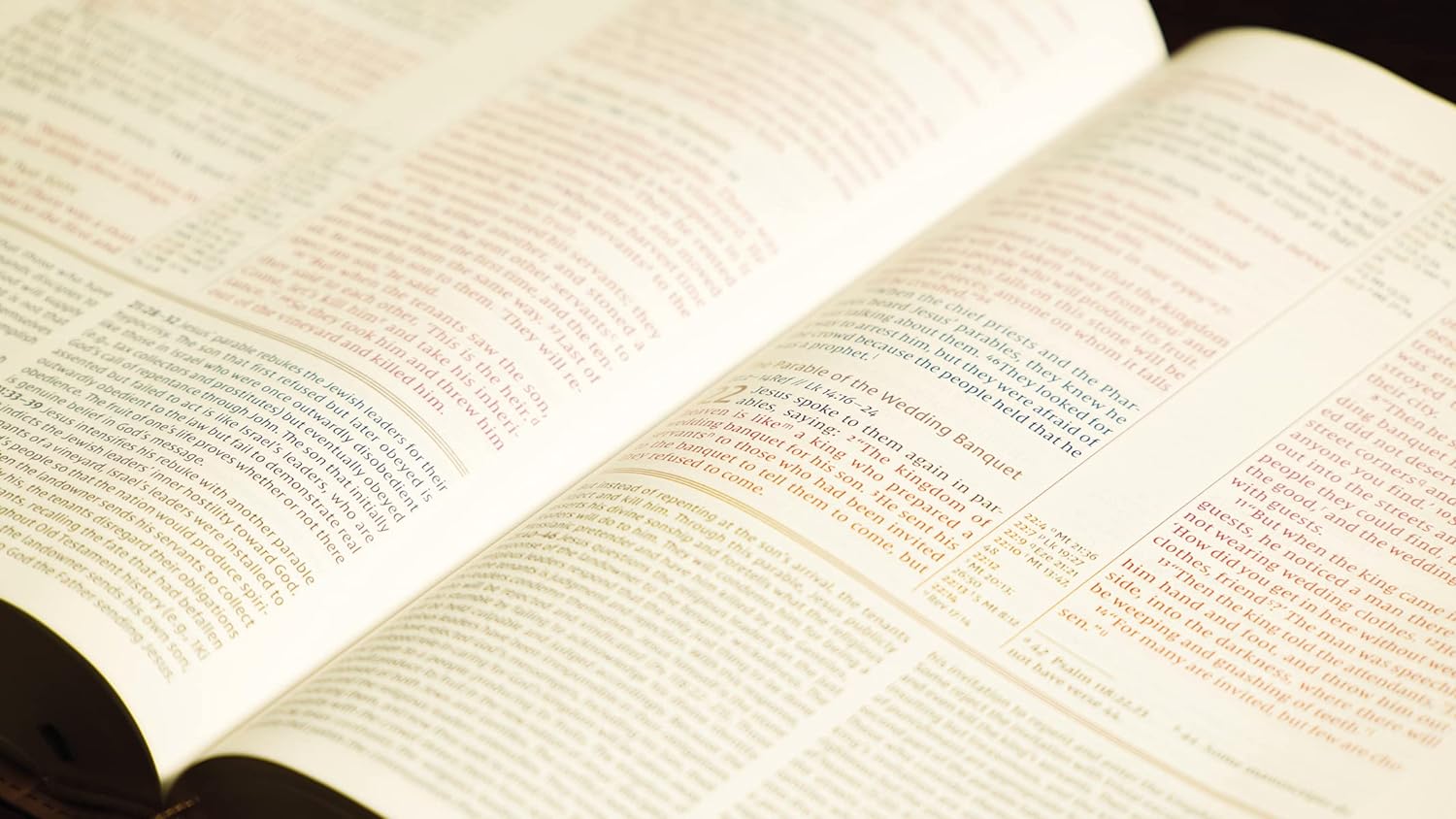 Indexed leather cover study Bible in NIV translation