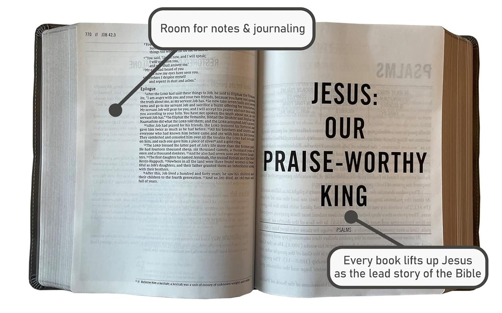 Holy Bible: New International Version, Multi-Color / Teal, Leathersoft, Study, Comfort Print Imitation Leather – Import