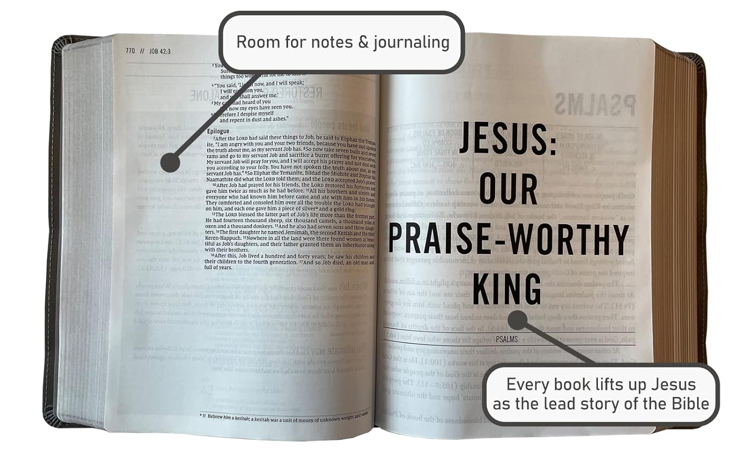 Holy Bible: New International Version, Multi-Color / Teal, Leathersoft, Study, Comfort Print Imitation Leather – Import