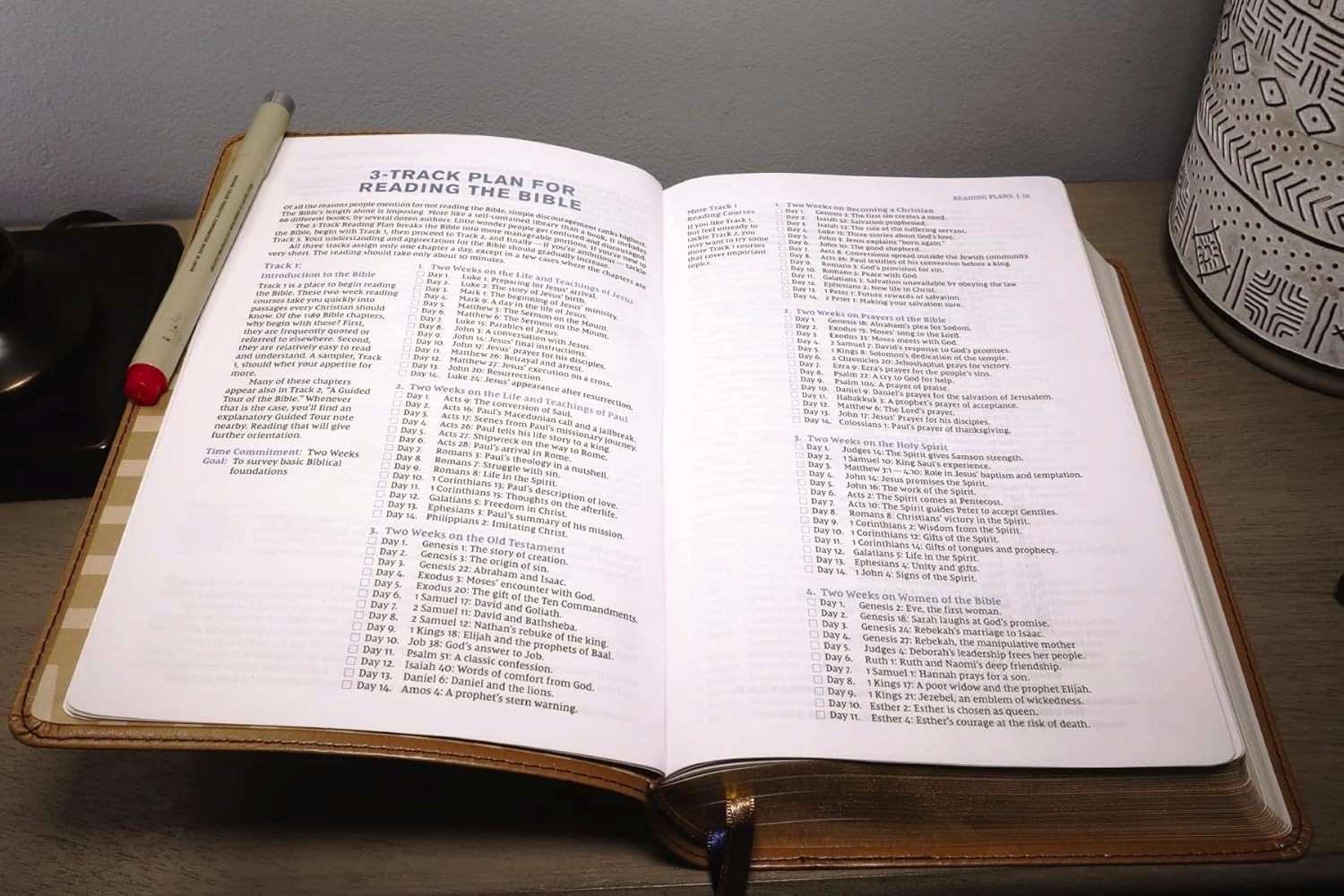 NIV Student Bible, Personal Size, Tan LeatherSoft Edition (ISBN: 9780310461715)