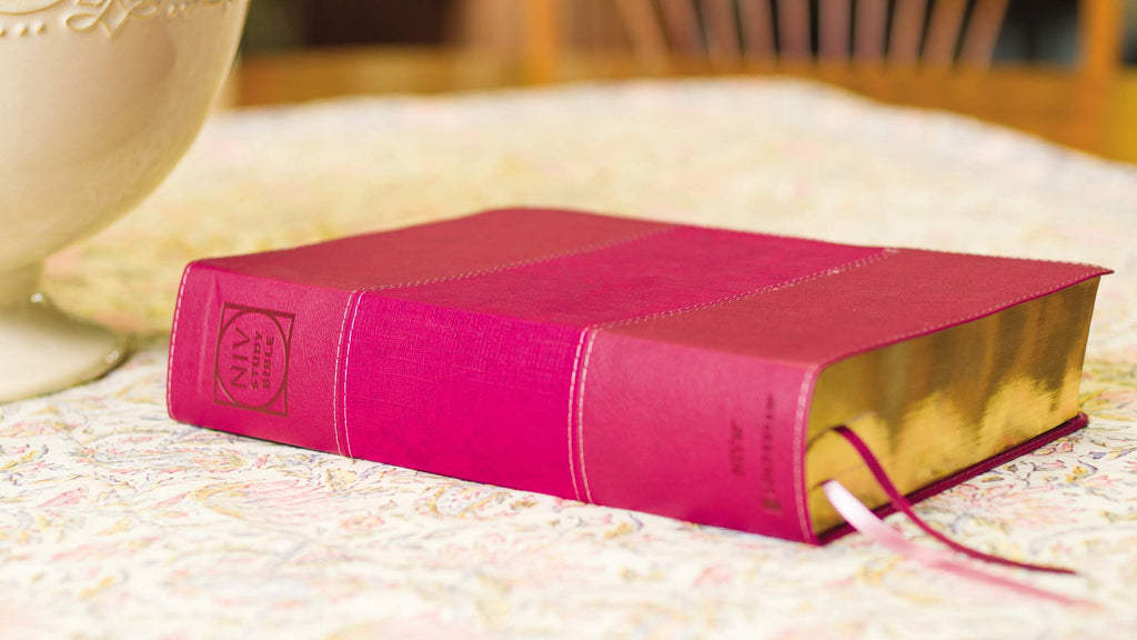 NIV Study Bible in Imitation Leather, New International Version