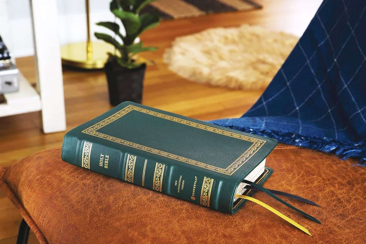 NIV Personal Size Large Print Bible - Premium Dark Green Goatskin Leather - Premier Collection
