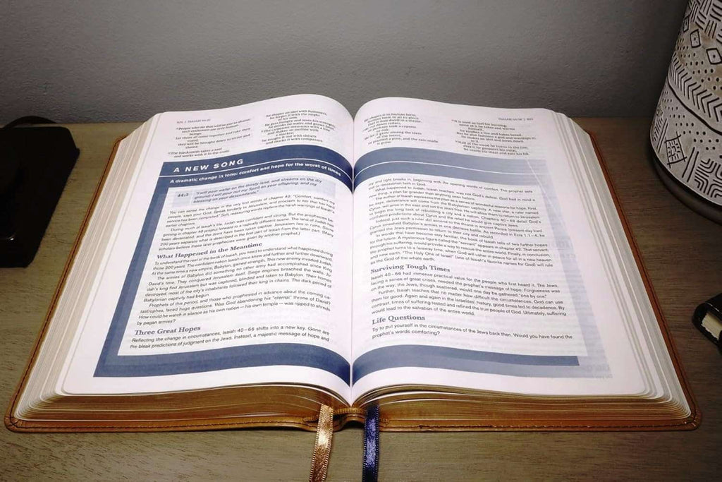 NIV Student Bible, Personal Size, Tan LeatherSoft Edition (ISBN: 9780310461715)