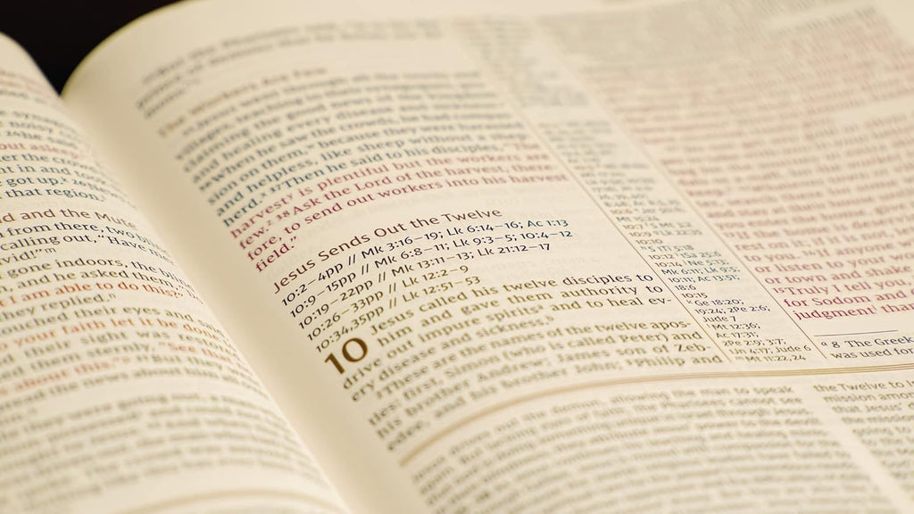 Professional NIV study Bible with indexed leather cover for learning