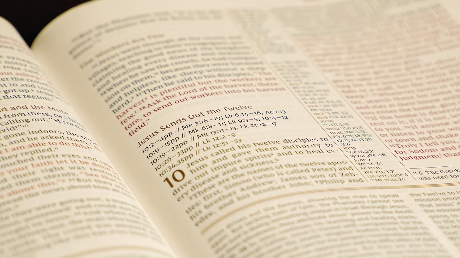 Professional NIV study Bible with indexed leather cover for learning