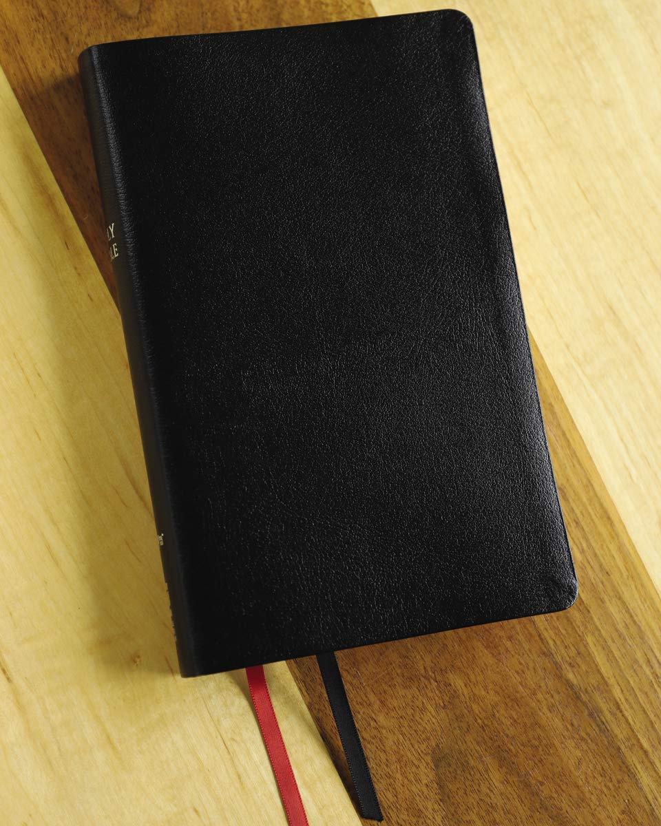 Black bonded leather NIV Thinline Reference Bible with red letter edition and comfort print
