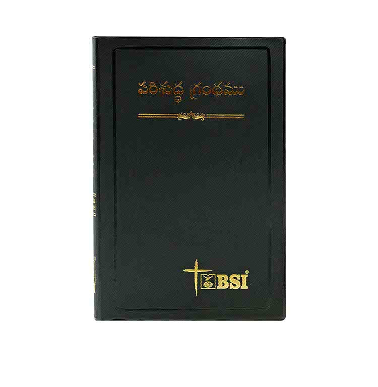 Holy Bible (Telugu)