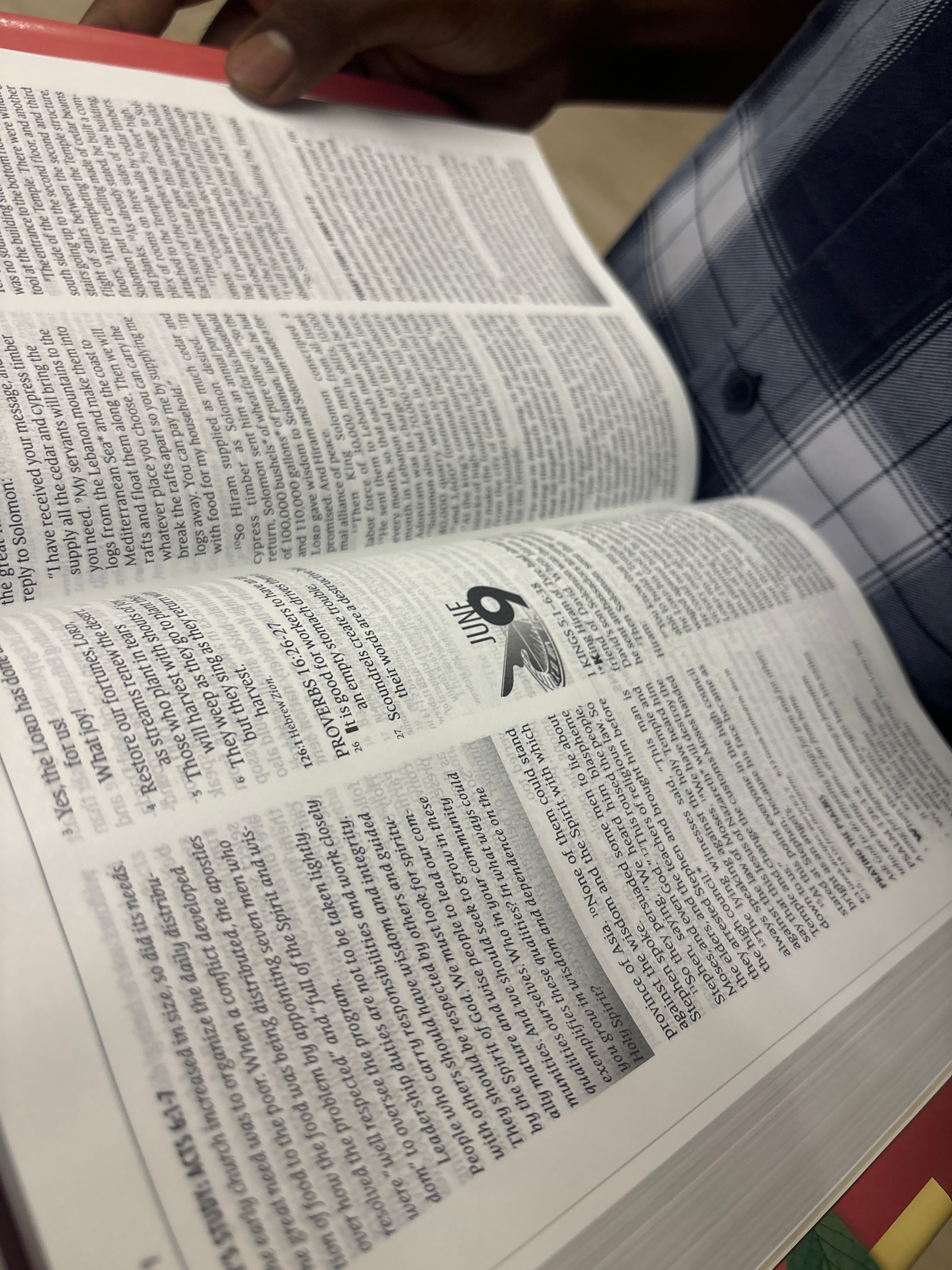 The One Year Study Bible NLT Hardcover–