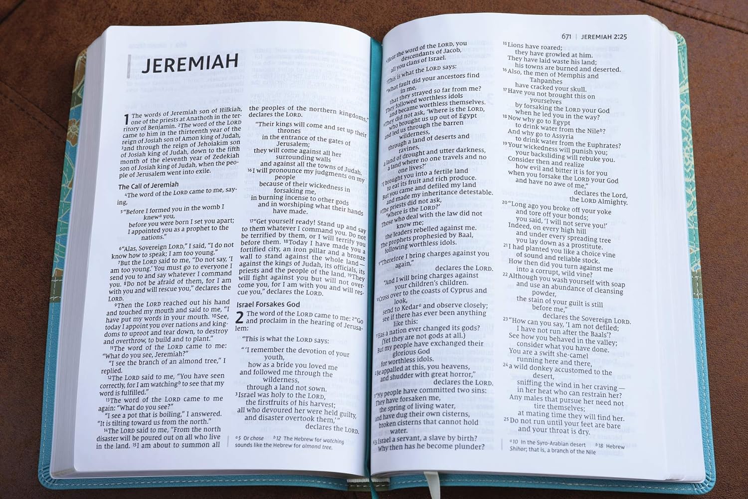 NIV, Thinline Bible, Large Print, Imitation Leather, Red Letter Edition: New International Version, Leathersoft, Thinline,