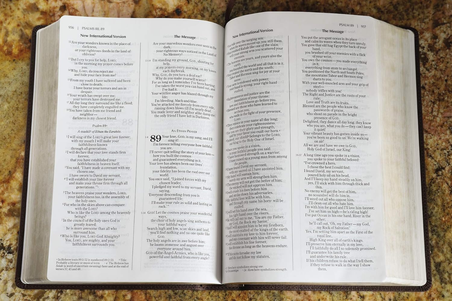 Study the NIV and the Message parallel Bible in one leather-bound volume