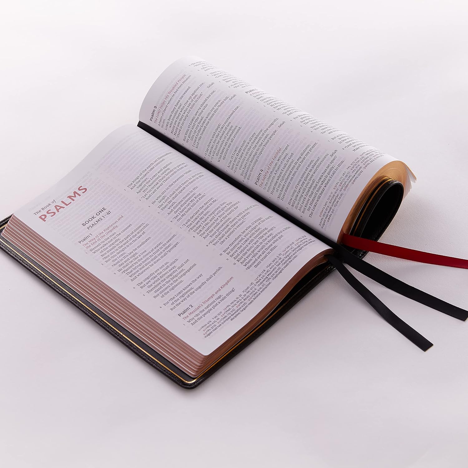 NKJV, Thinline Reference Bible, Large Print, Premium Goatskin Leather, Brown, Premier Collection, Comfort Print: Holy Bible, New King James Version Leather Bound