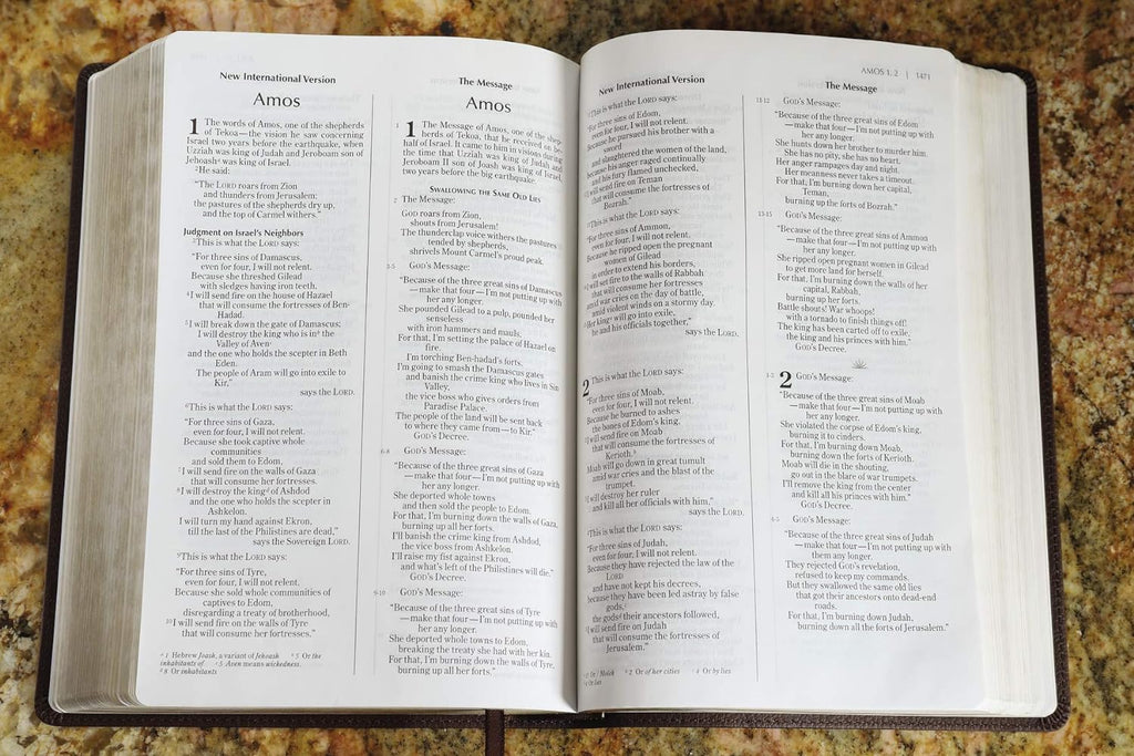 NIV and the Message parallel study Bible, Leathersoft, Brown