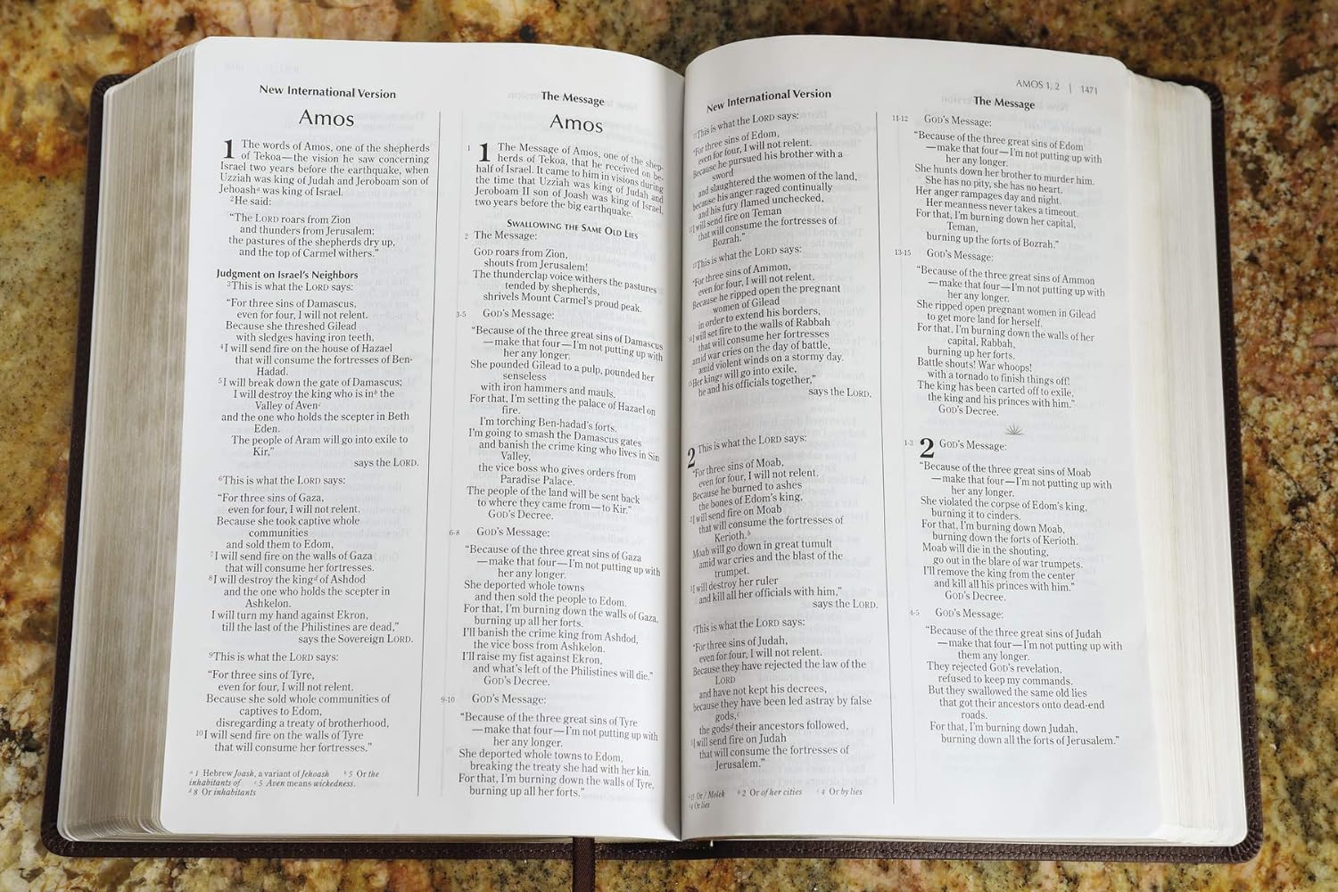 NIV and the Message parallel study Bible, Leathersoft, Brown