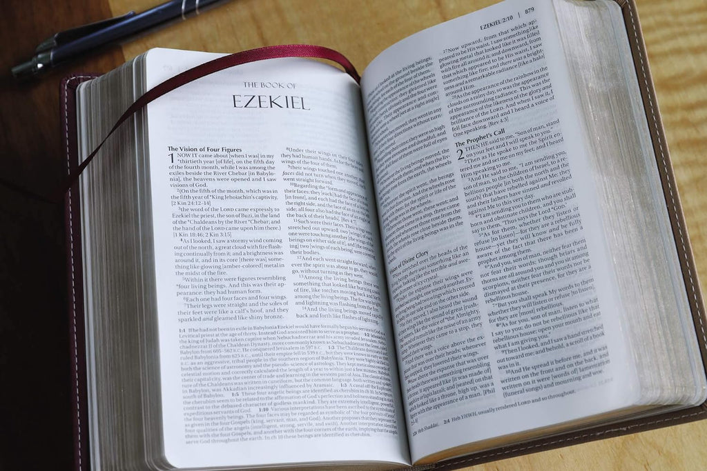Compact Amplified Holy Bible in Leathersoft Camel/Burgundy