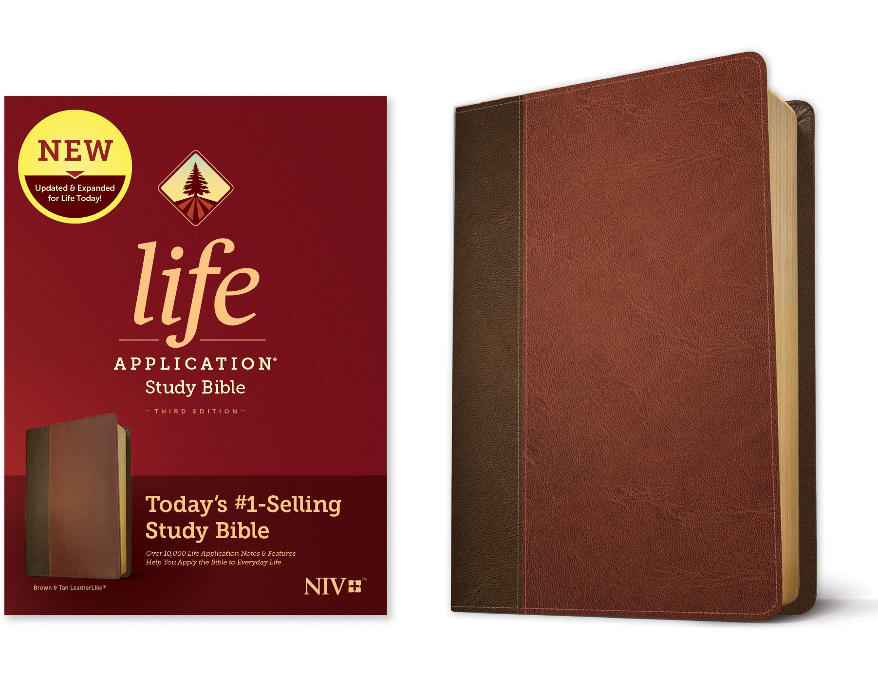 Study Bible with NIV translation, imitation leather binding, brown/mahogany