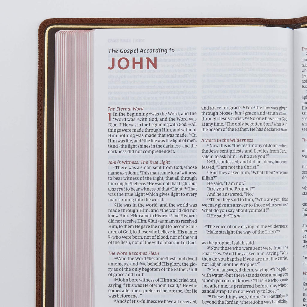 NKJV, Thinline Reference Bible, Large Print, Premium Goatskin Leather, Brown, Premier Collection, Comfort Print: Holy Bible, New King James Version Leather Bound