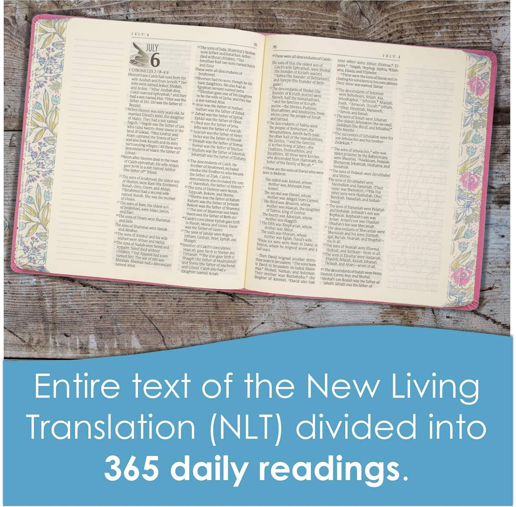 Clearance sale! NLT, One Year Bible Creative Expressions, Deluxe Hardcover
