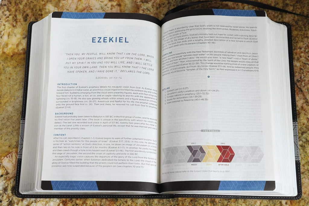 Leathersoft Black NIV Storyline Bible in Comfort Print