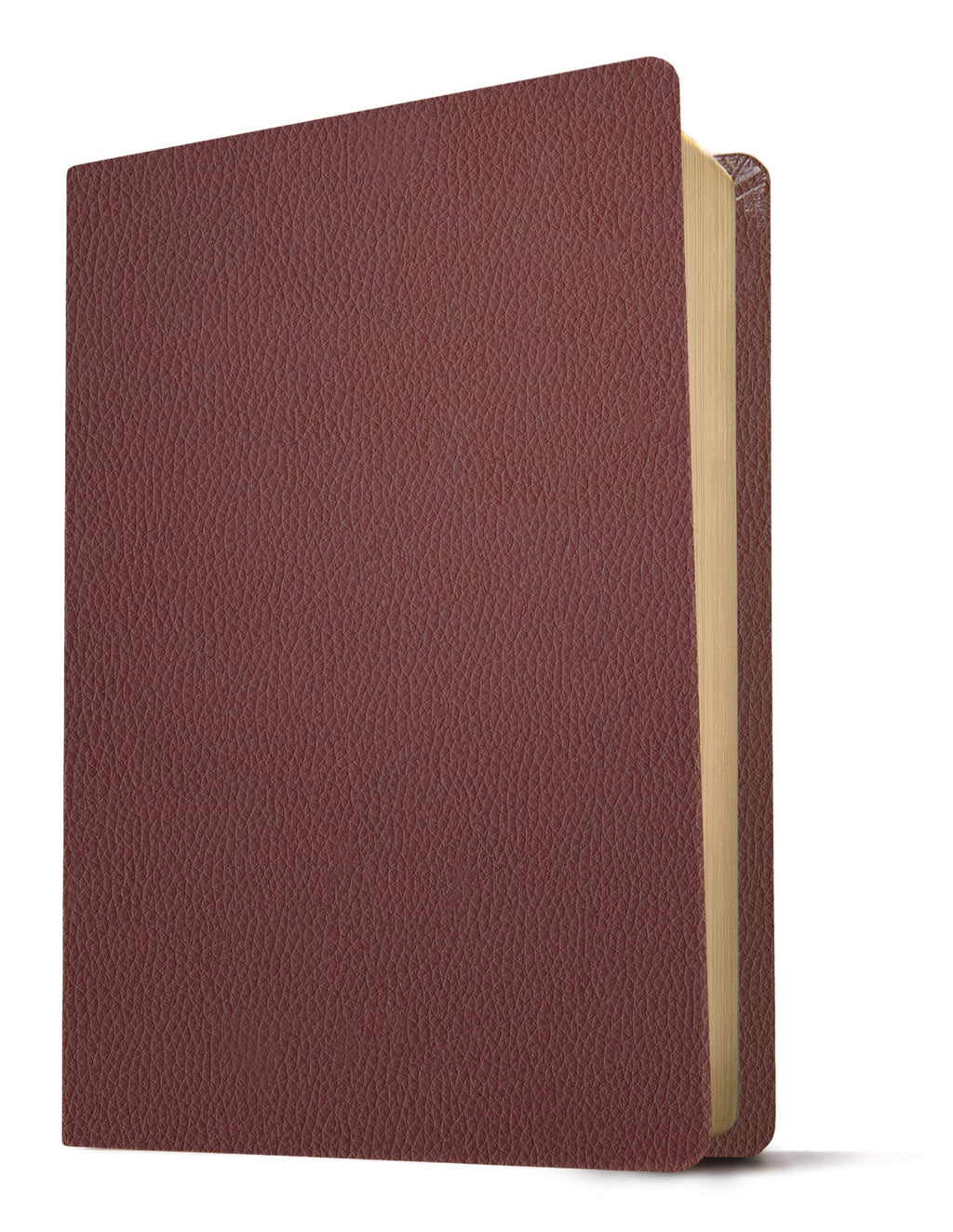 King James Version Personal Size Giant Print Bible, Brown Leather Bound, Red Letter