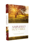 Amplified Bible, Demi Size, Hardcover Edition (ISBN: 9780310443872)