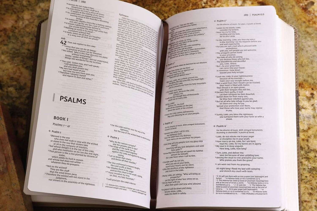 NIV Premium Gift Bible, Blue Leathersoft Edition