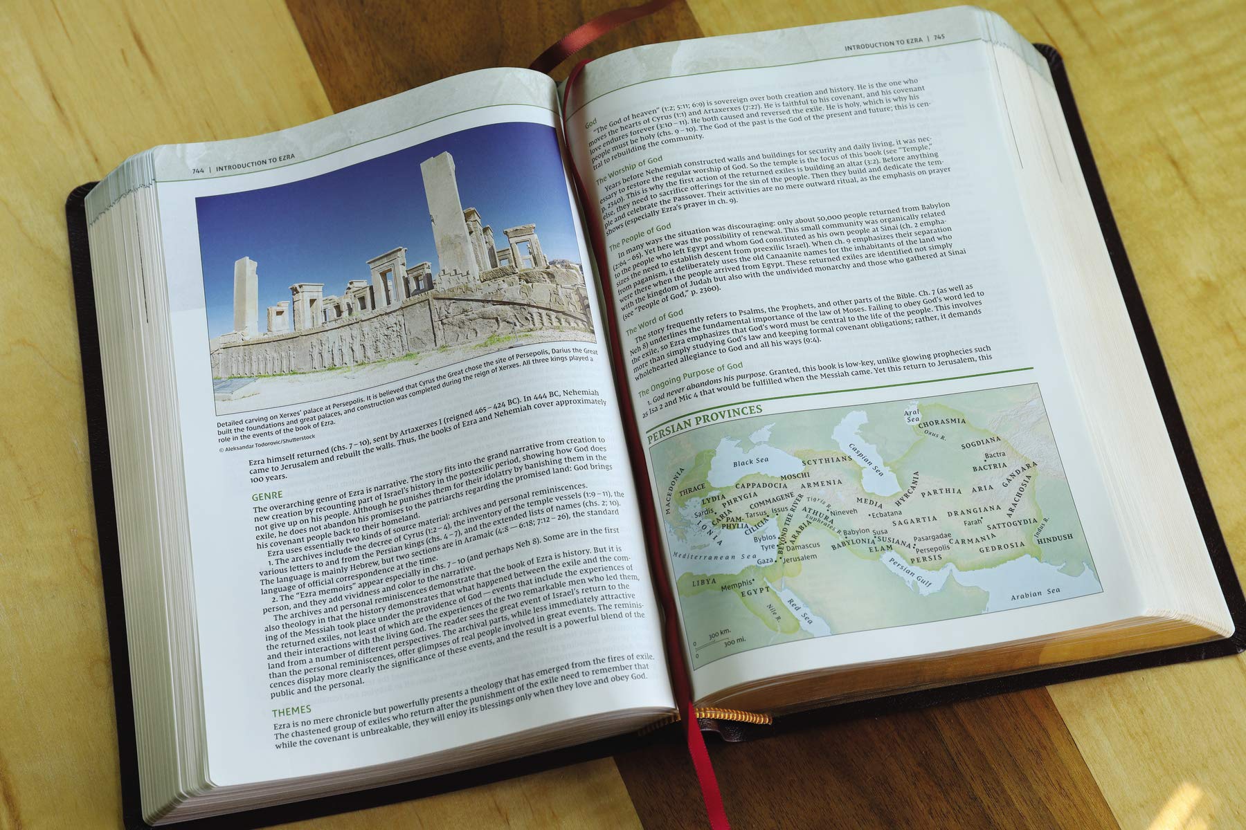 Biblical Theology Study Bible: New International Version, Burgundy, Bonded Leather, Comfort Print; Follow Gods Redemptive Plan As It Unfolds Throughout Scripture Bonded Leather – Illustrated,