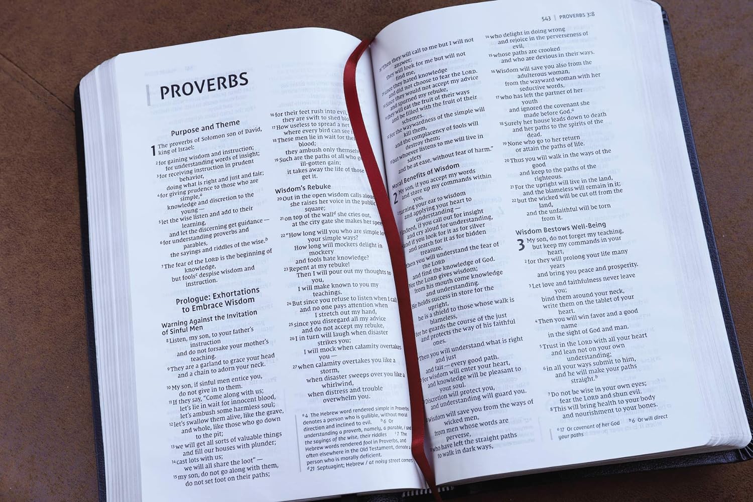 NIV Thinline Bonded Leather Burgundy Red Letter Edition Bible