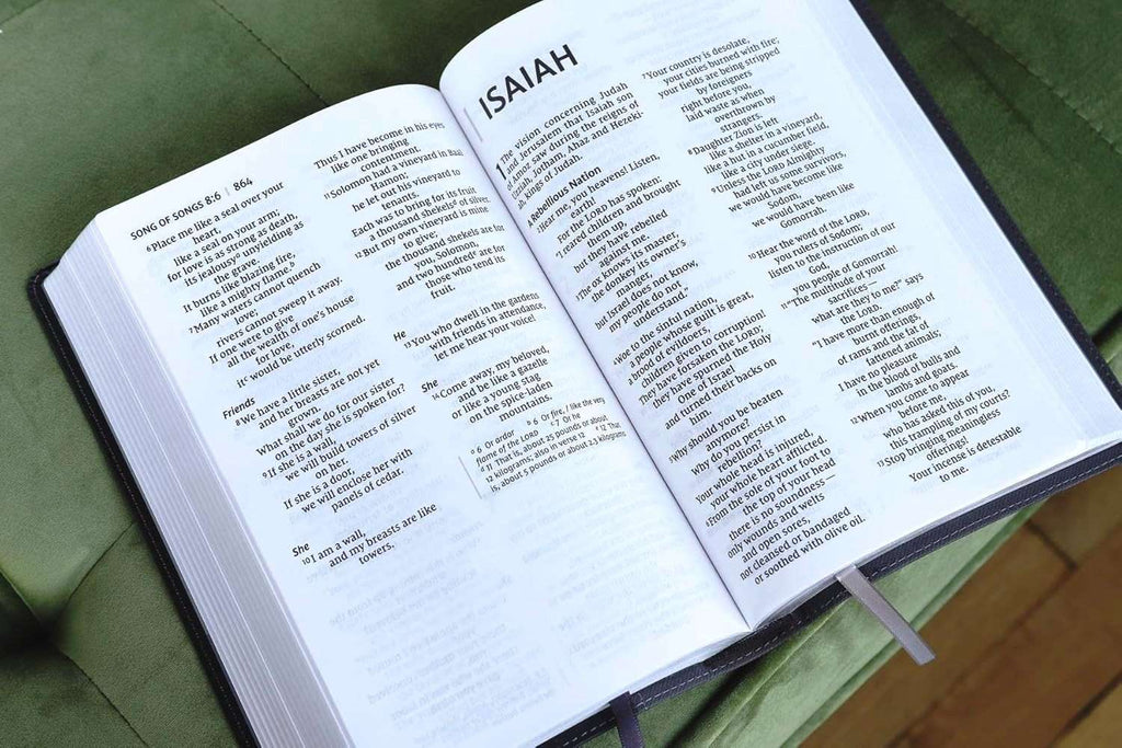 NIV Large Print Personal Size Bible, Black and Grey Leathersoft Cover (ISBN 9780310454267)