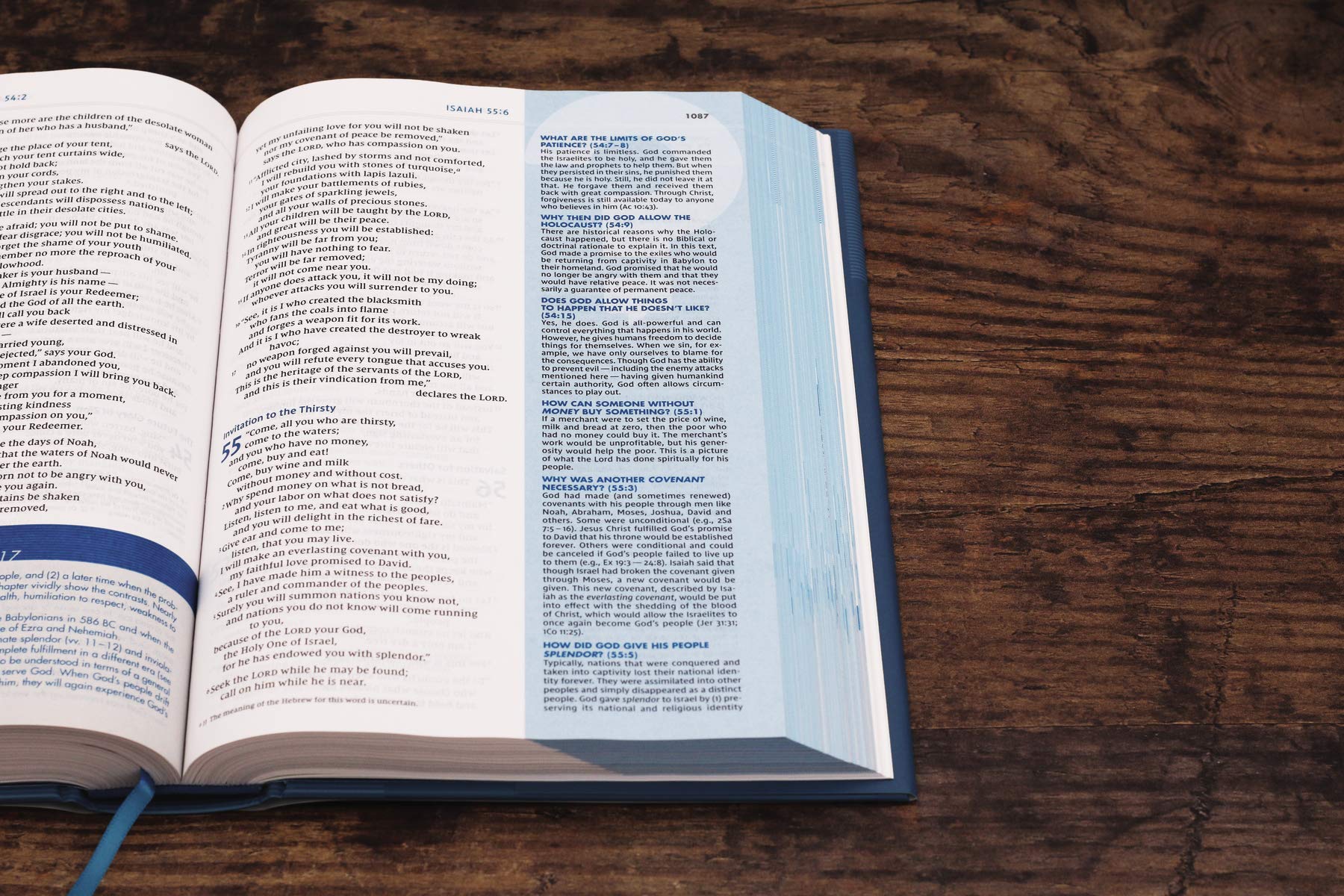 NIV Quest Study Bible, Hardcover in Comfort Print book cover