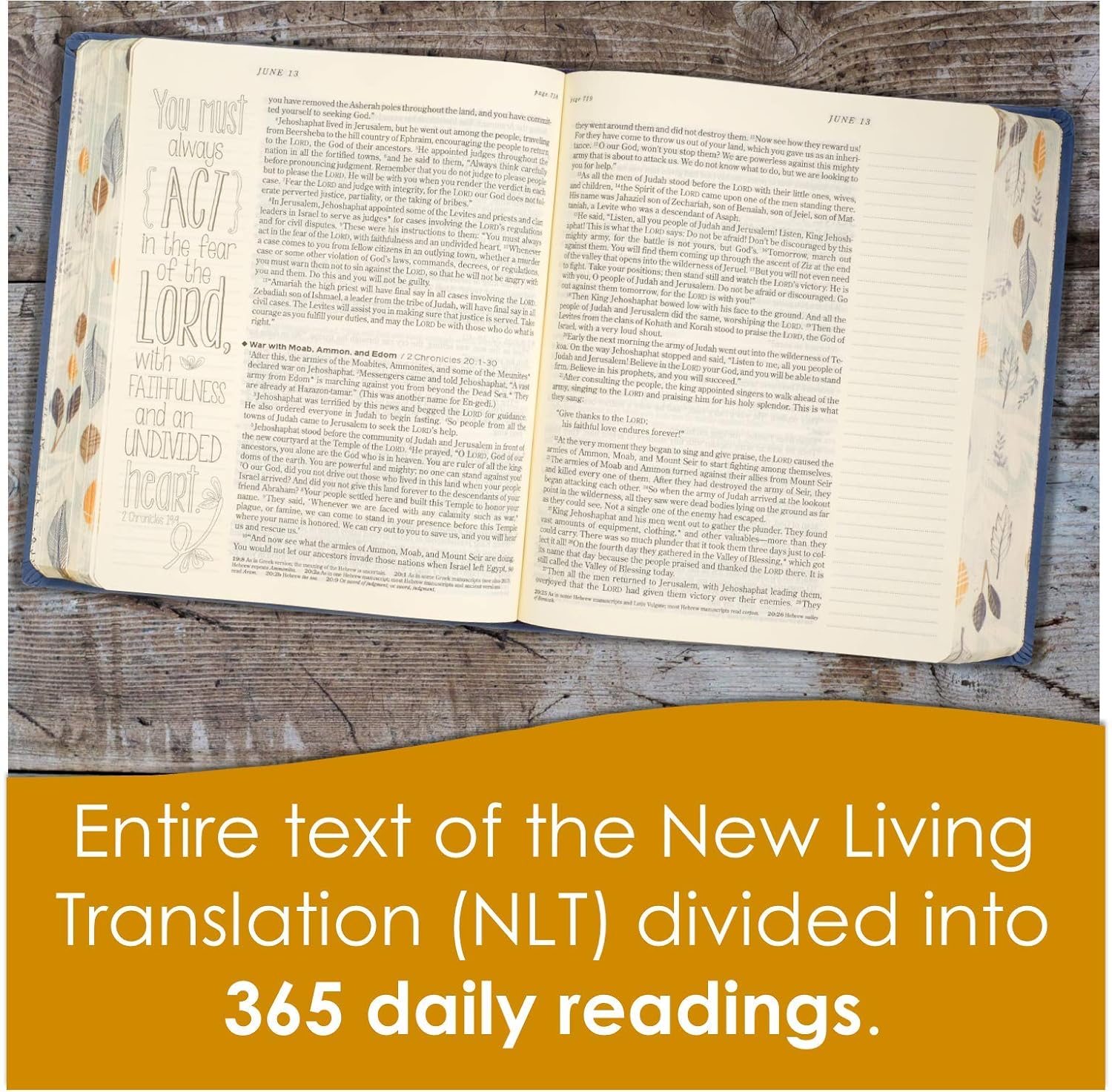 NLT One Year Bible Creative Expressions Deluxe Hardcover