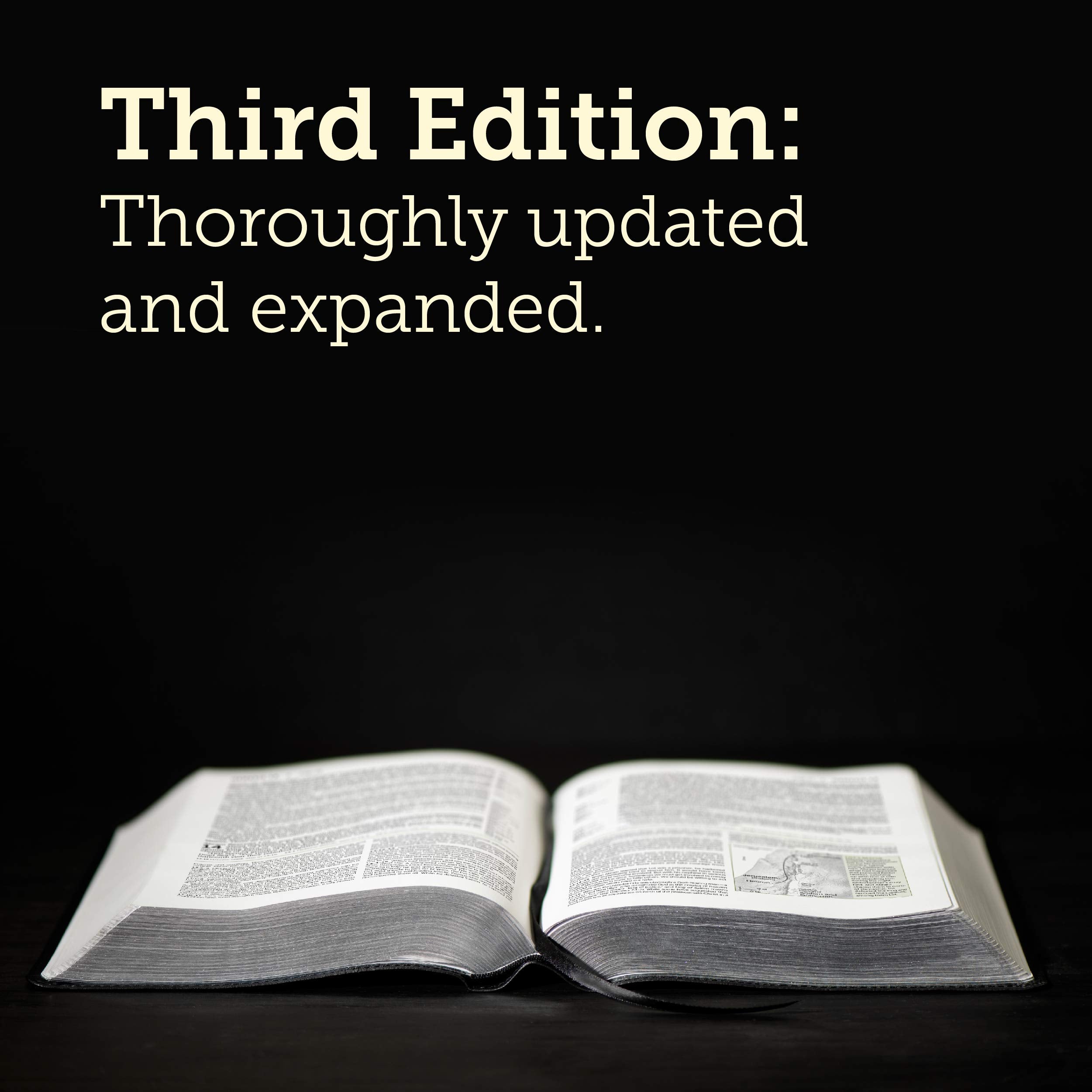 Tyndale NIV Life Application Study Bible, Third Edition, LeatherLike, Berry binding