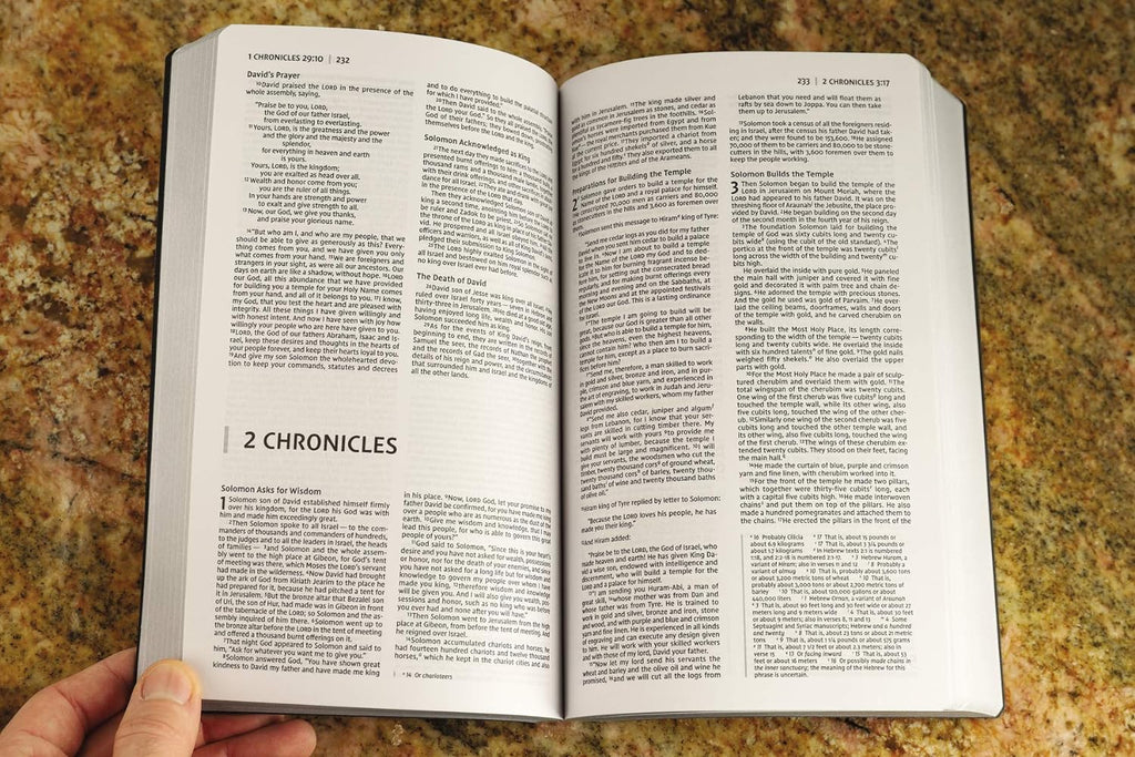 A photo of the NIV Soft Touch Leathersoft Holy Bible, showcasing its durable and stylish imitation leather design