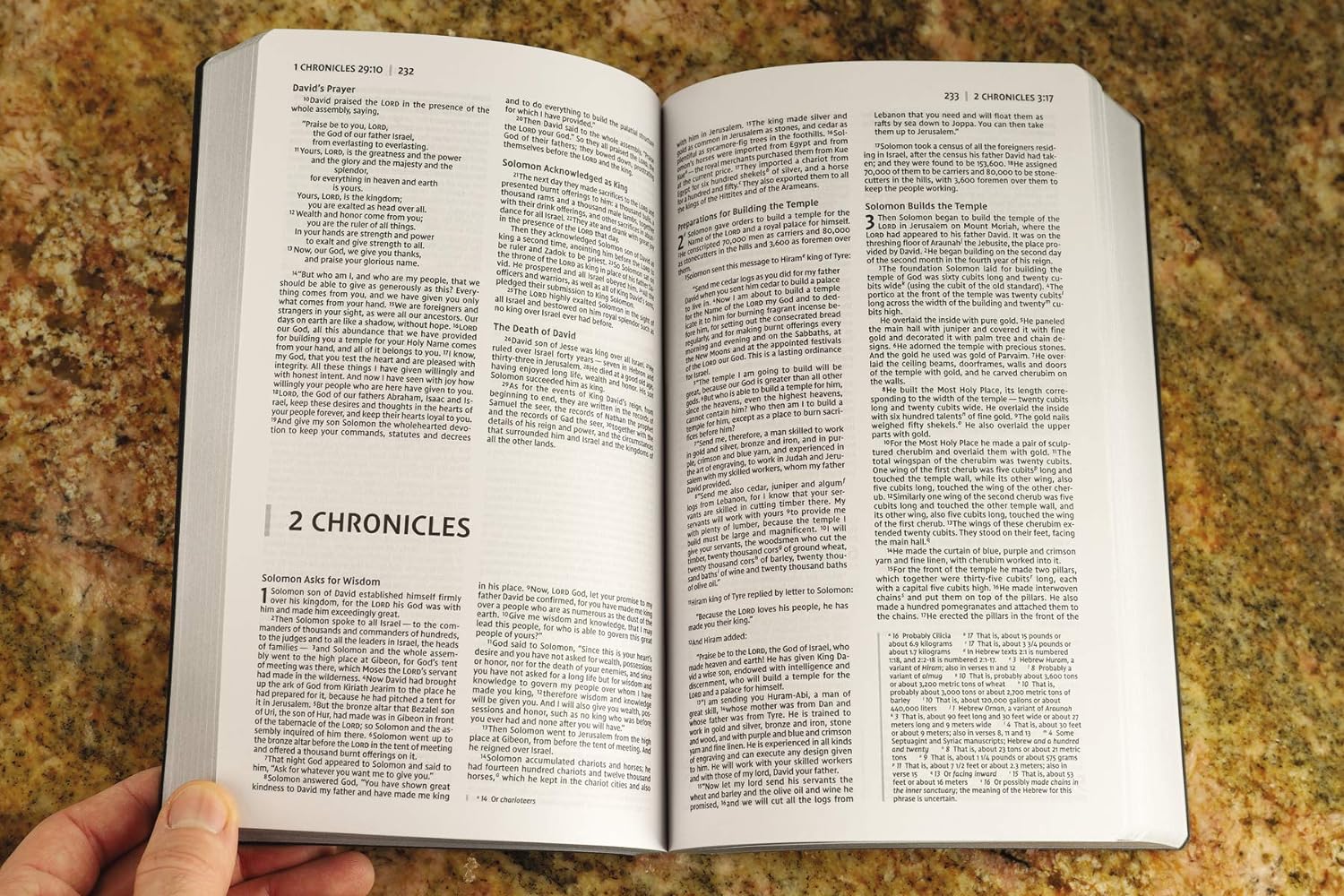 A photo of the NIV Soft Touch Leathersoft Holy Bible, showcasing its durable and stylish imitation leather design