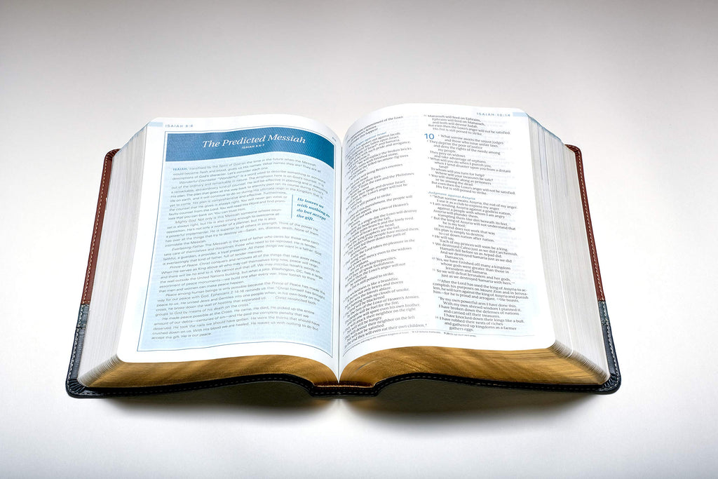 Close-up of Large Print Imitation Leather Swindoll Study Bible NLT Bible