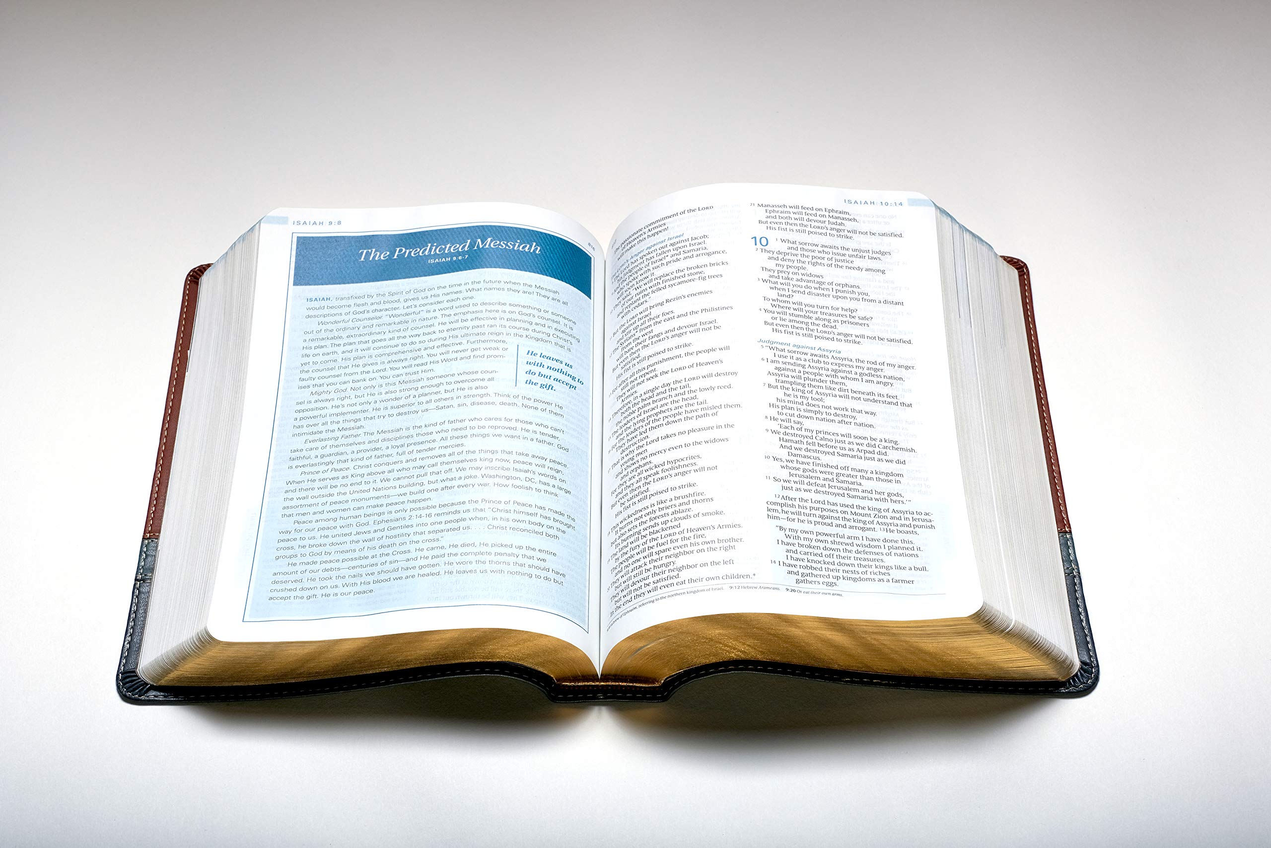 Close-up of Large Print Imitation Leather Swindoll Study Bible NLT Bible