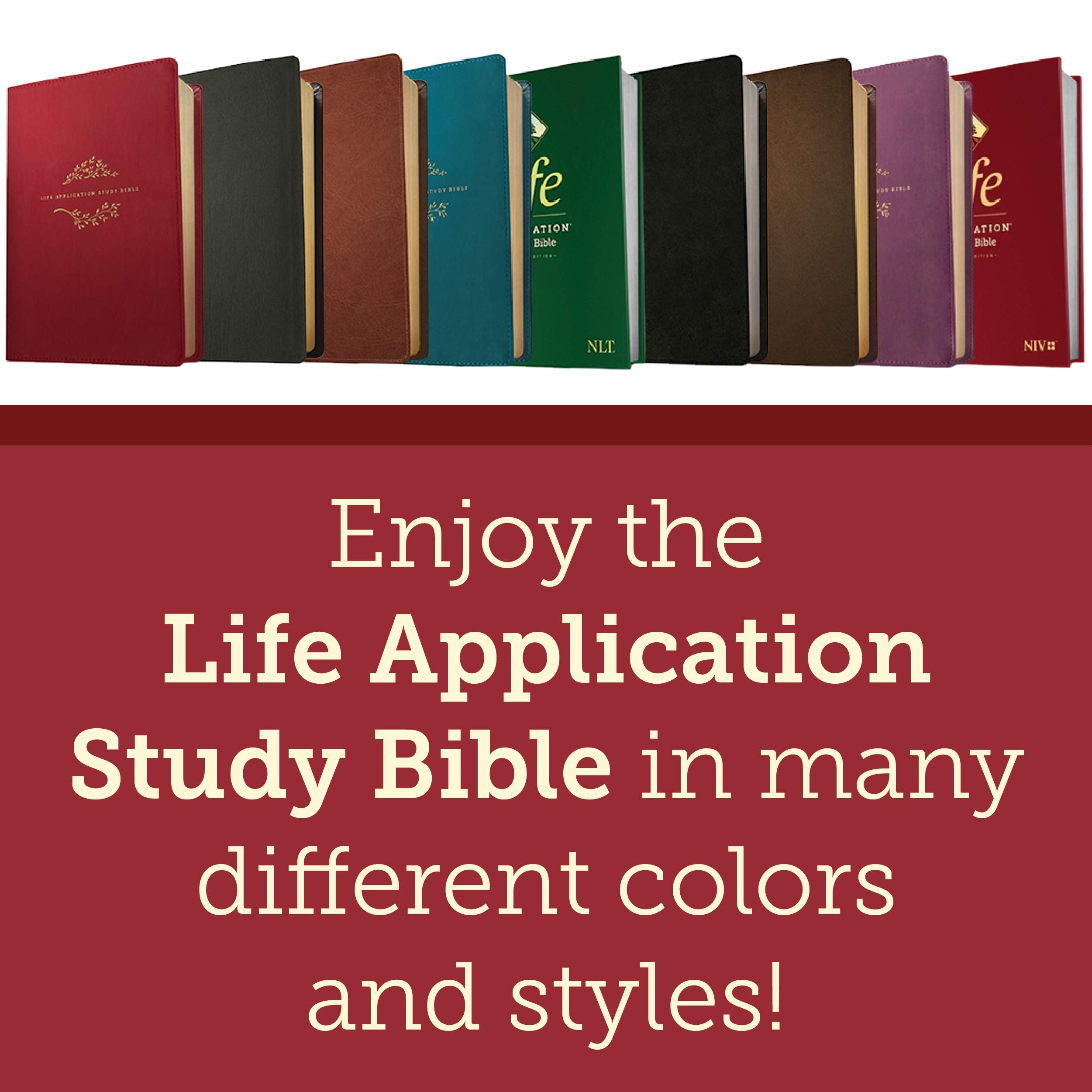 The Tyndale NIV Life Application Study Bible, Third Edition, in imitation leather.