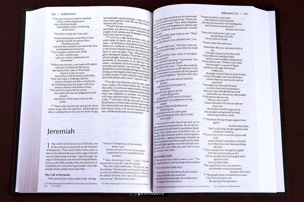 NIV Value Pew & Worship Bible, Hardbound Edition (ISBN: 9780310446200)
