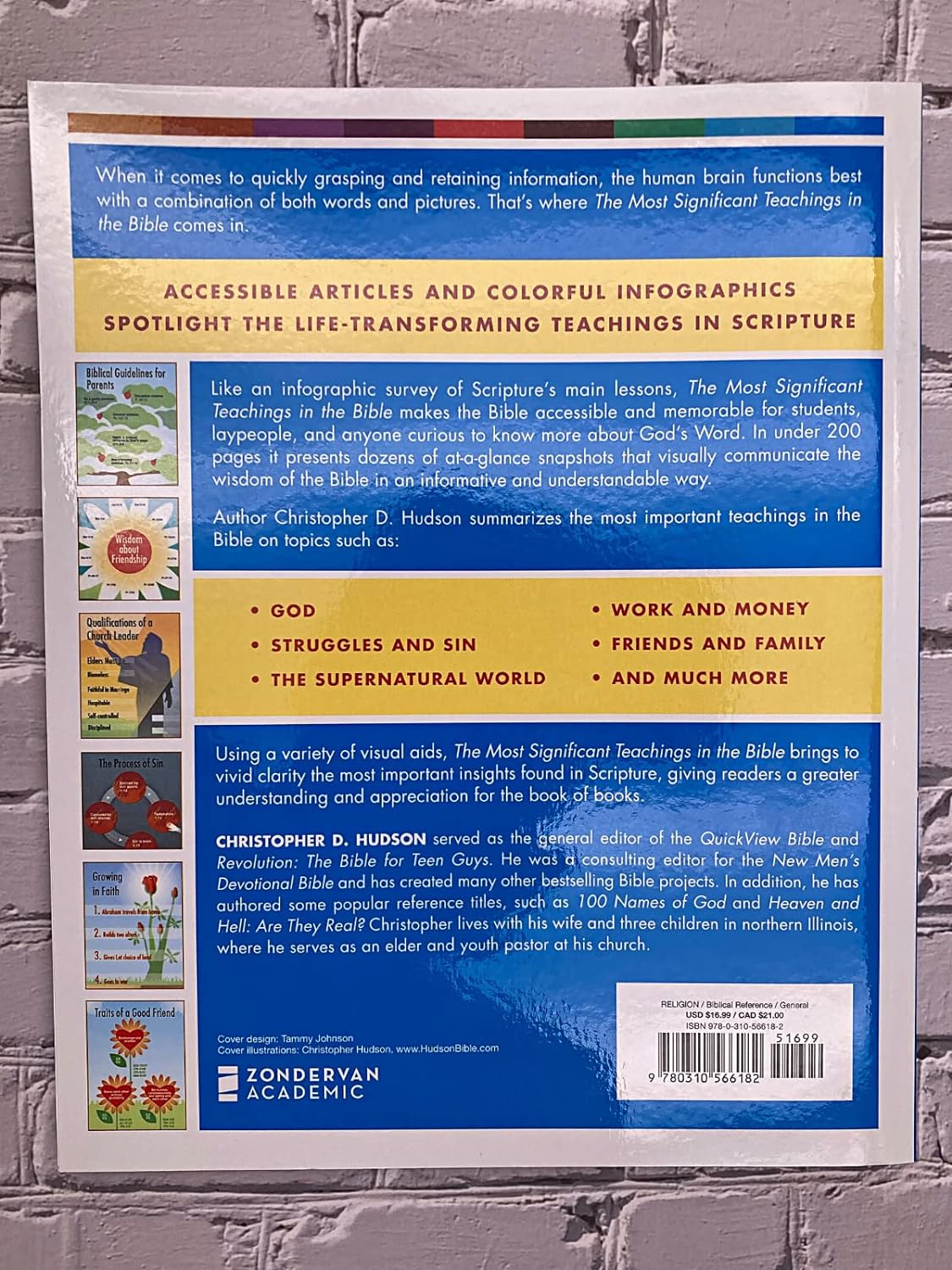 The Most Significant Teachings in the Bible Paperback – Illustrated,