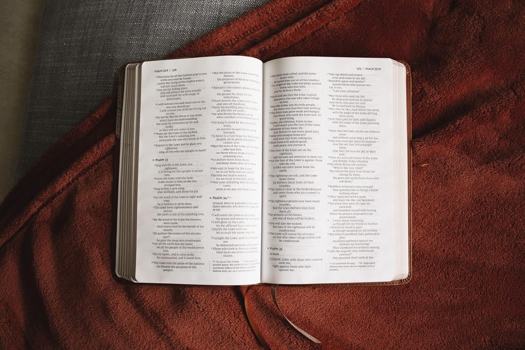 NIV Thinline Leathersoft Brown Red Letter Bible with Comfort Print Imitation Leather