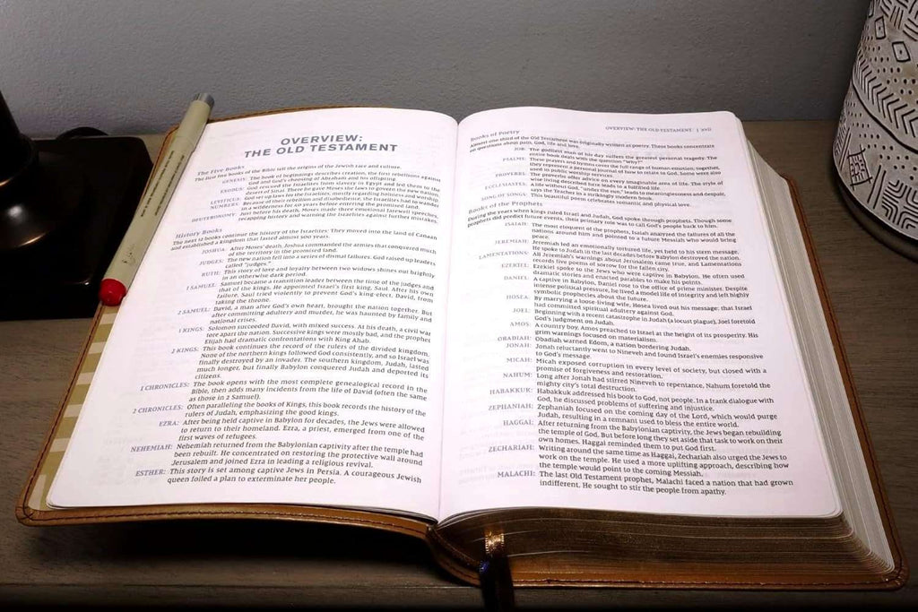 NIV Student Bible, Personal Size, Tan LeatherSoft Edition (ISBN: 9780310461715)