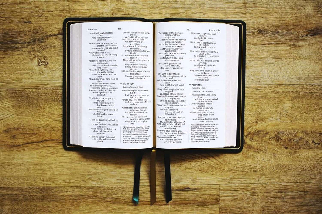 NIV Personal Size Large Print Bible - Premium Dark Green Goatskin Leather - Premier Collection