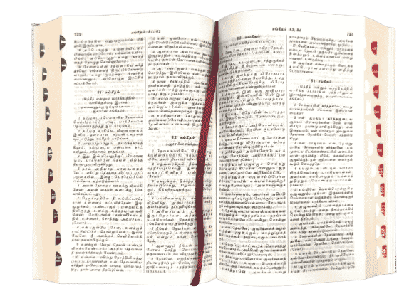 Tamil Bible, Demi Size with Index, Black Leather Touch Edition (ISBN: 9788122120660)