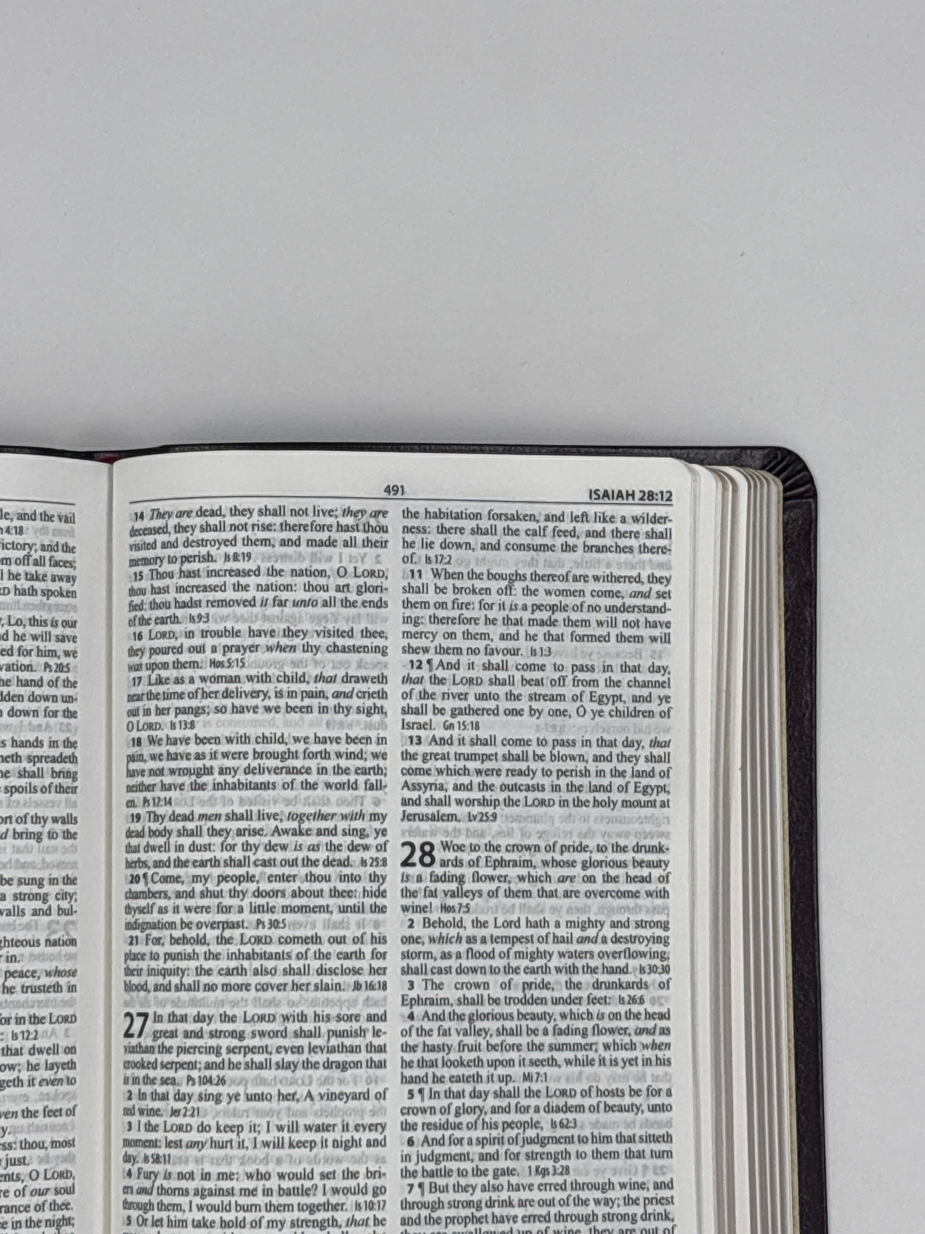 Burgundy Bonded Leather King James Version Thinline Reference Bible
